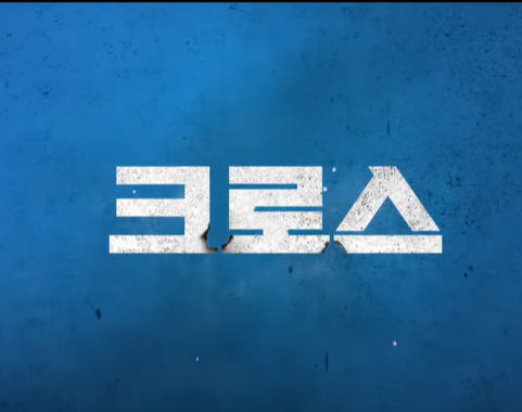 염정아 황정민 주연 영화 넷플릭스 크로스