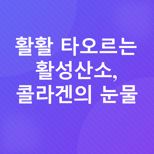 노화 방지_1