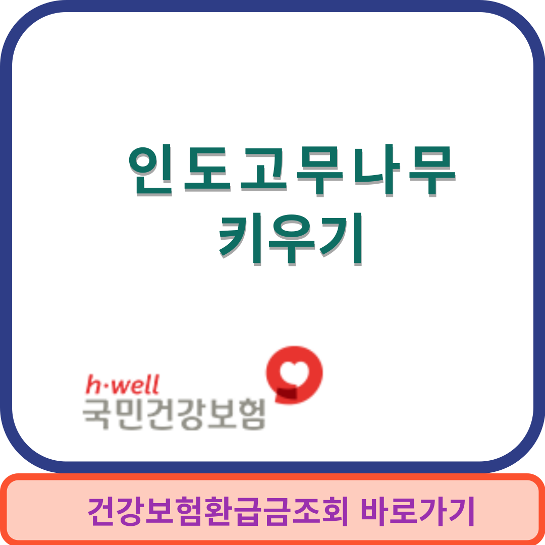 인도고무나무썸네일