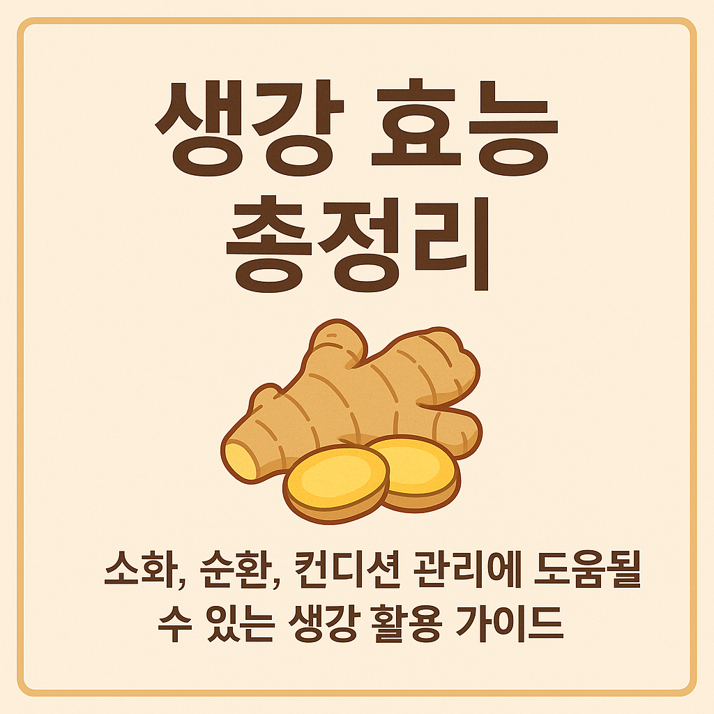 생강 효능 총정리 — 소화, 순환, 컨디션 관리에 도움될 수 있는 생활 속 활용