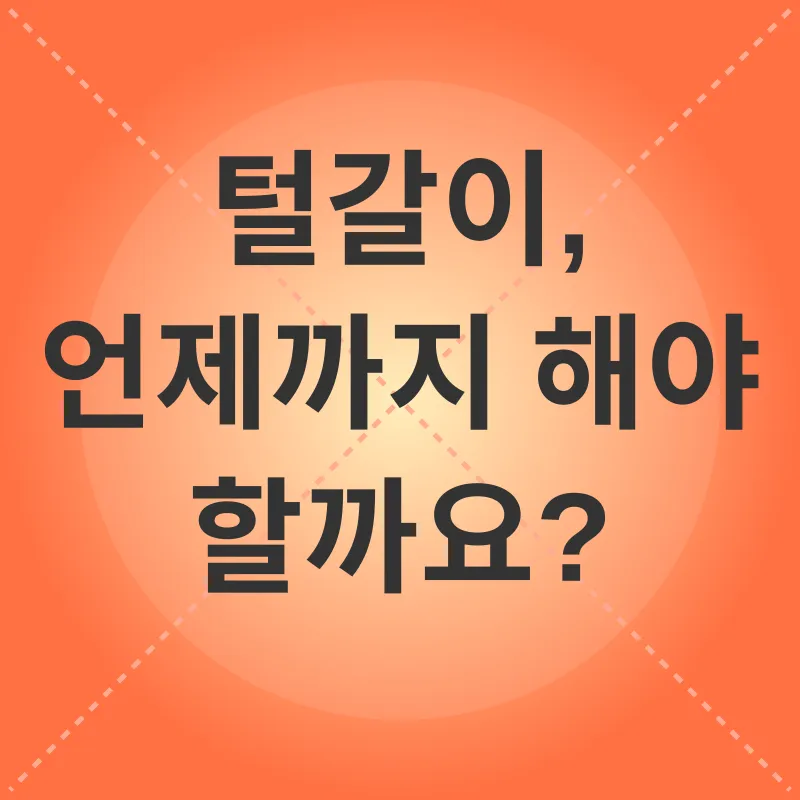 고양이 털갈이 관리_3