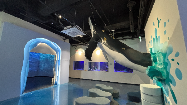 화진포 해양박물관