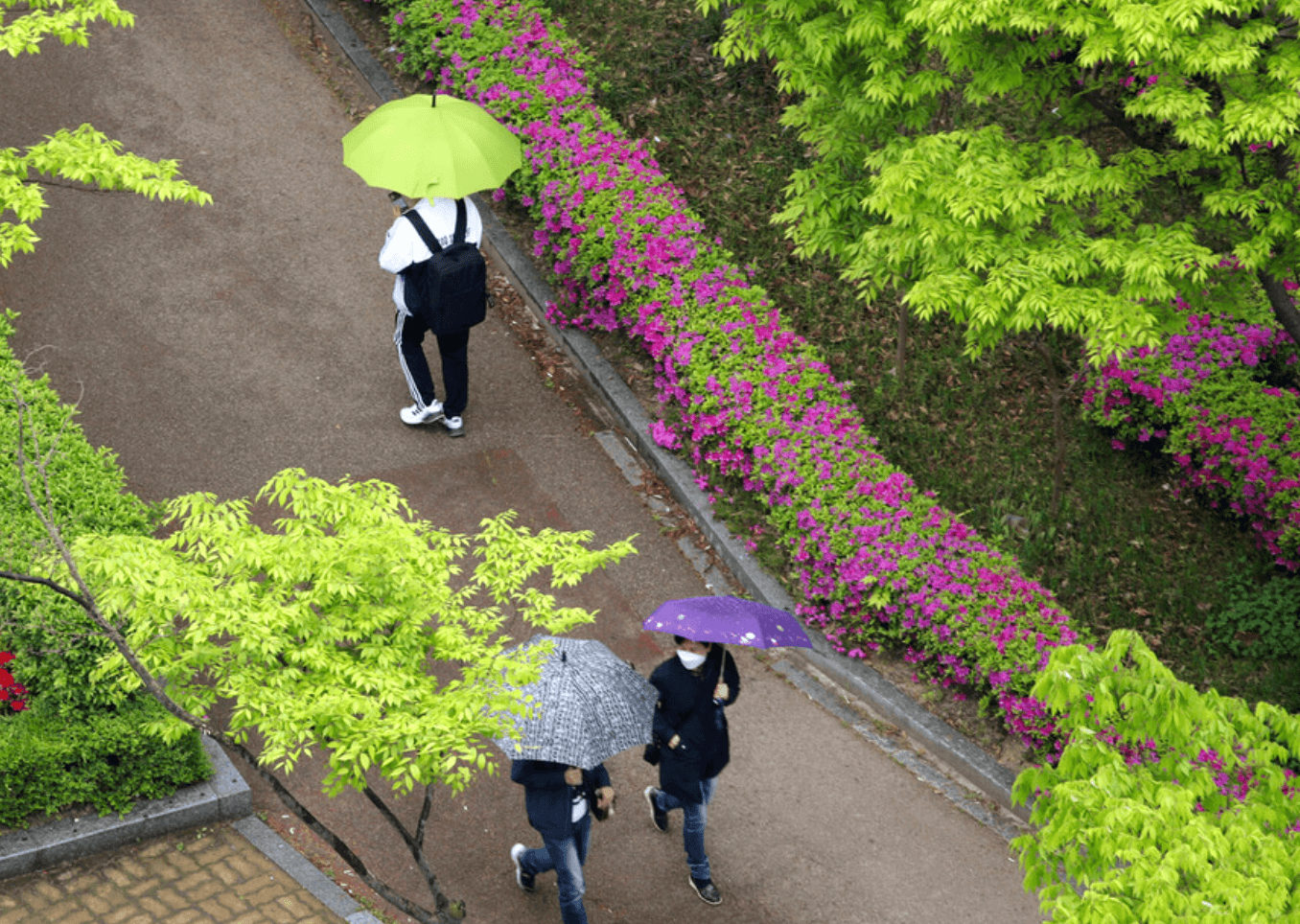 봄비 내린 후 최고의 촬영지는 지리산, 최고의 촬영 포인트는 기회