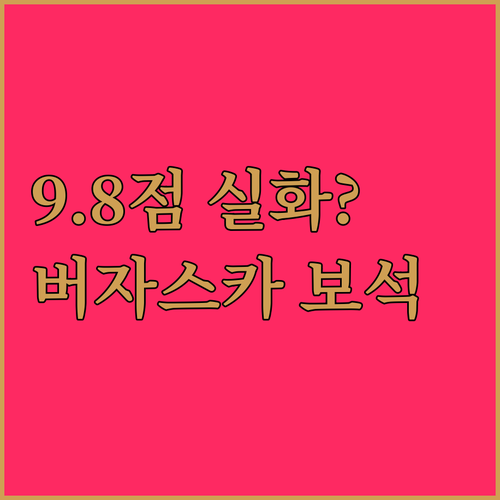 평점 9.8점 실화인가요 스위스 버자..