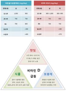 연골에 좋은 영양제