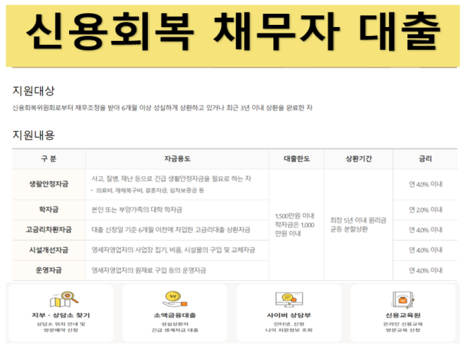 신용회복 채무자 대출 정보 요약