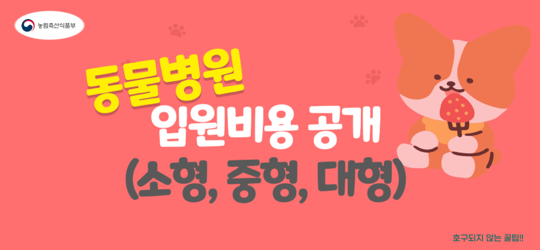 동물병원 입원비용 공개