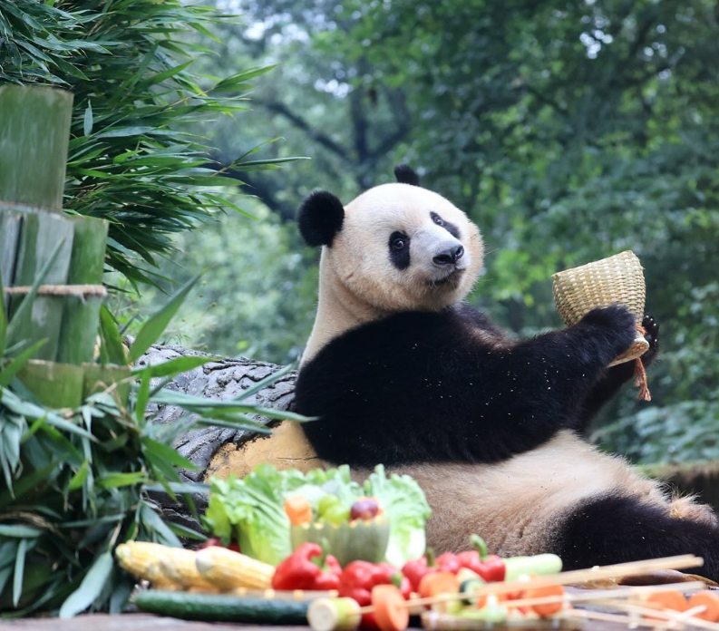 도쿄 아이랑 가볼만한곳 17