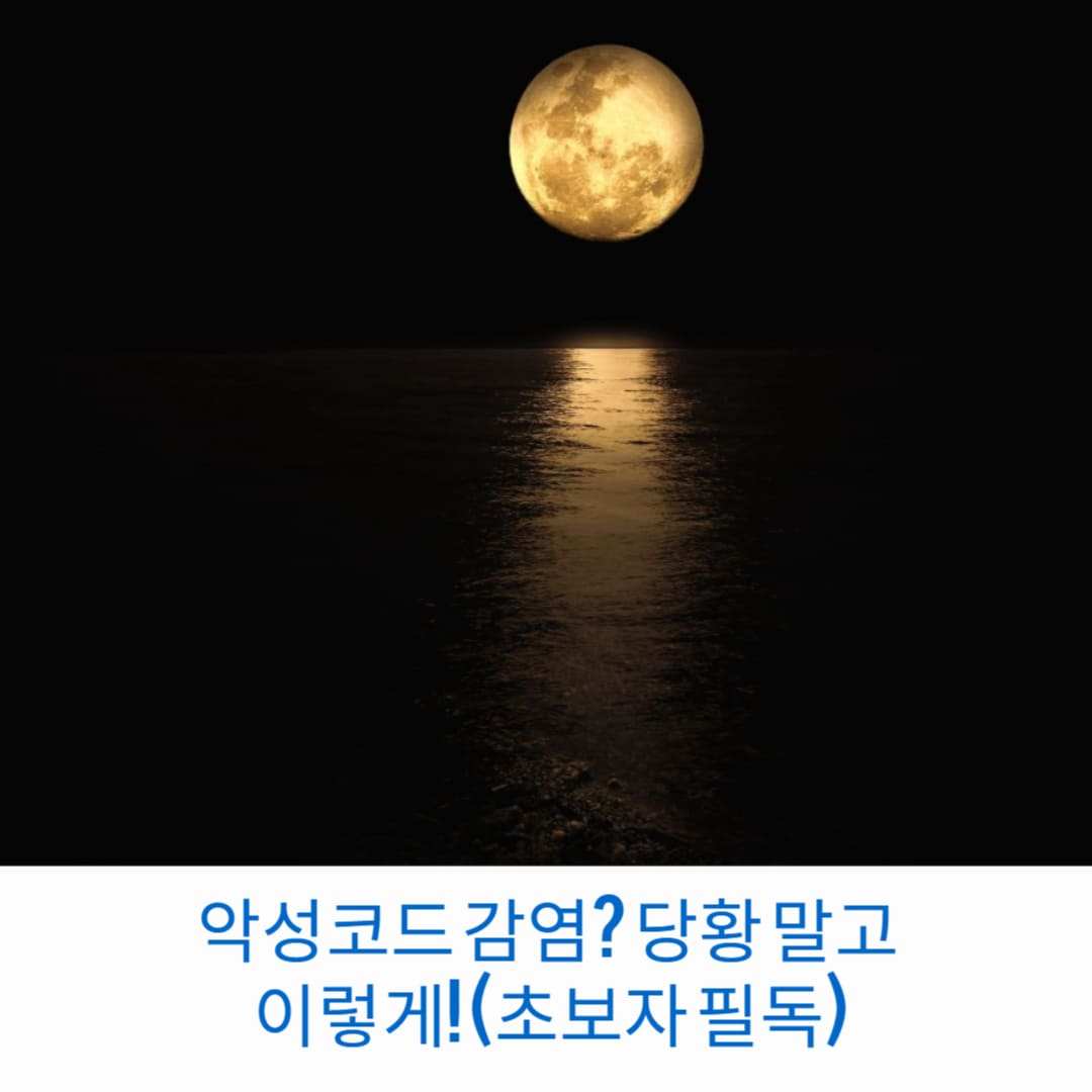 악성코드-감염-당황-말고-이렇게-초보자-필독-썸네일