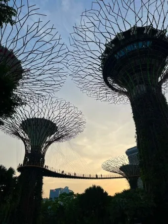 싱가포르 여행 로밍 완벽 가이드 데이터 걱정 없는 즐거운 여행_21