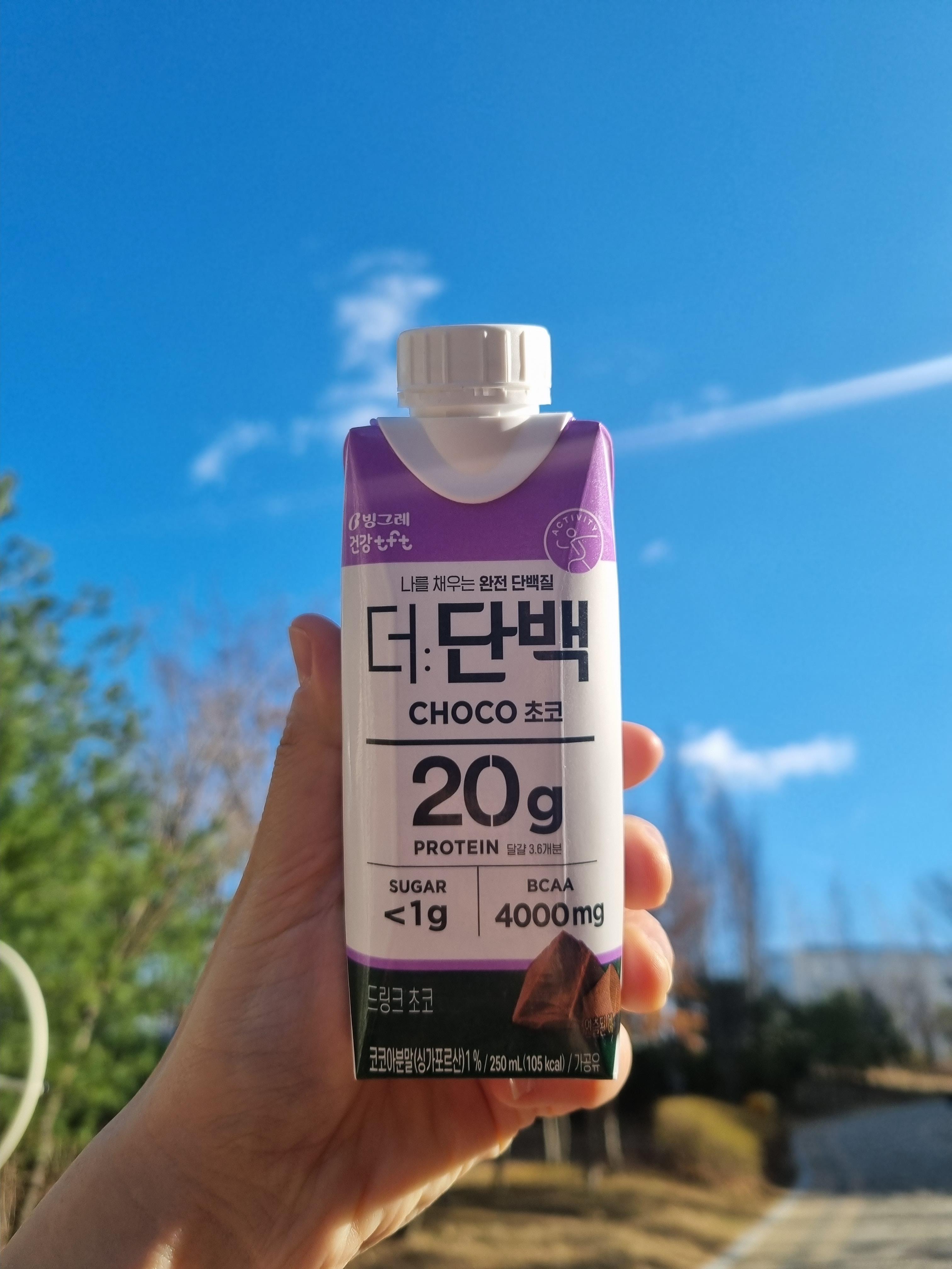 빙그레 더단백 초코