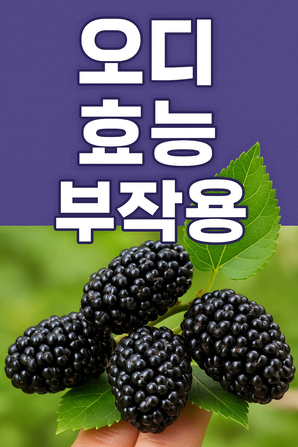 오디효능부작용