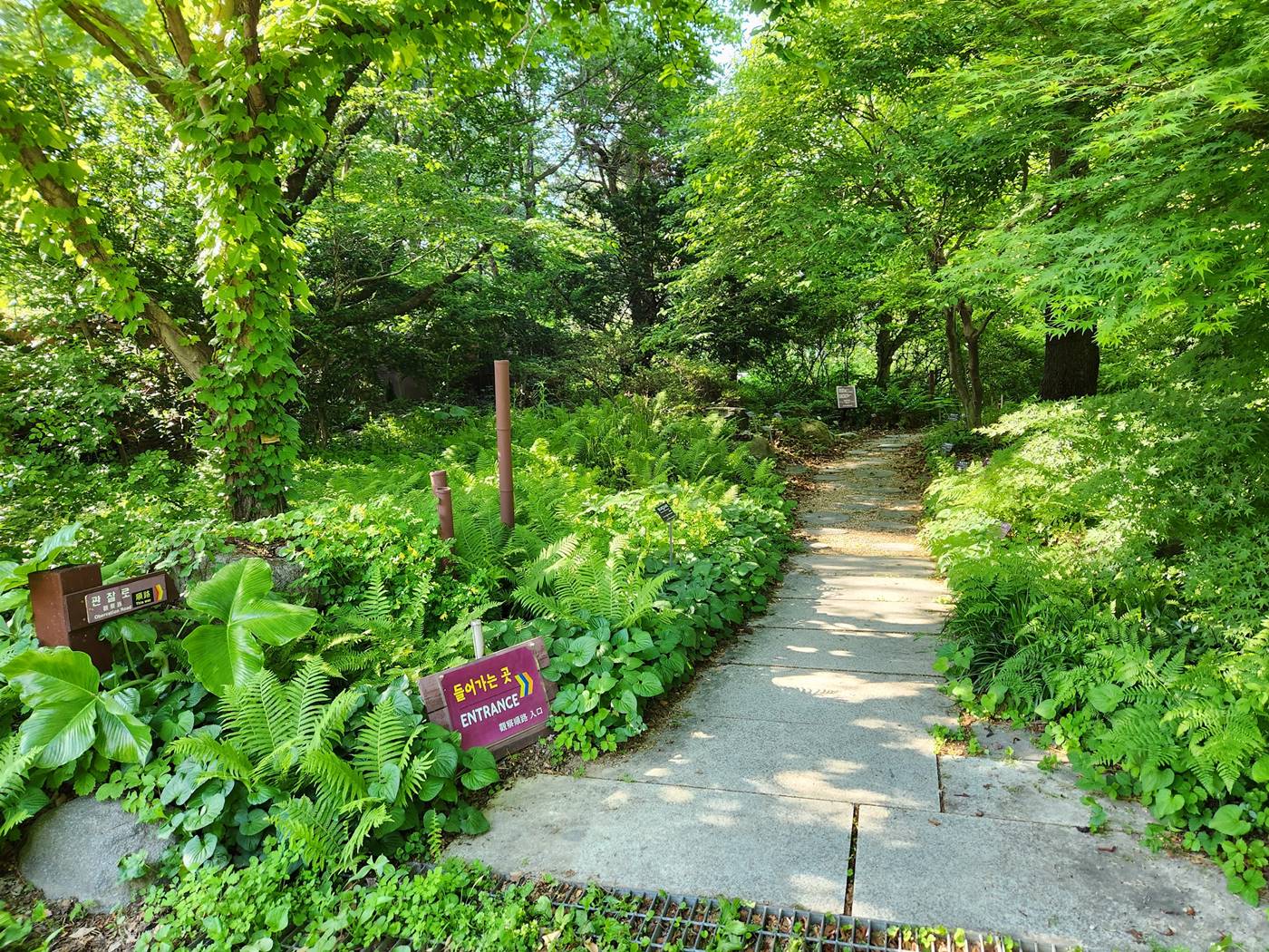 포항 기청산식물원