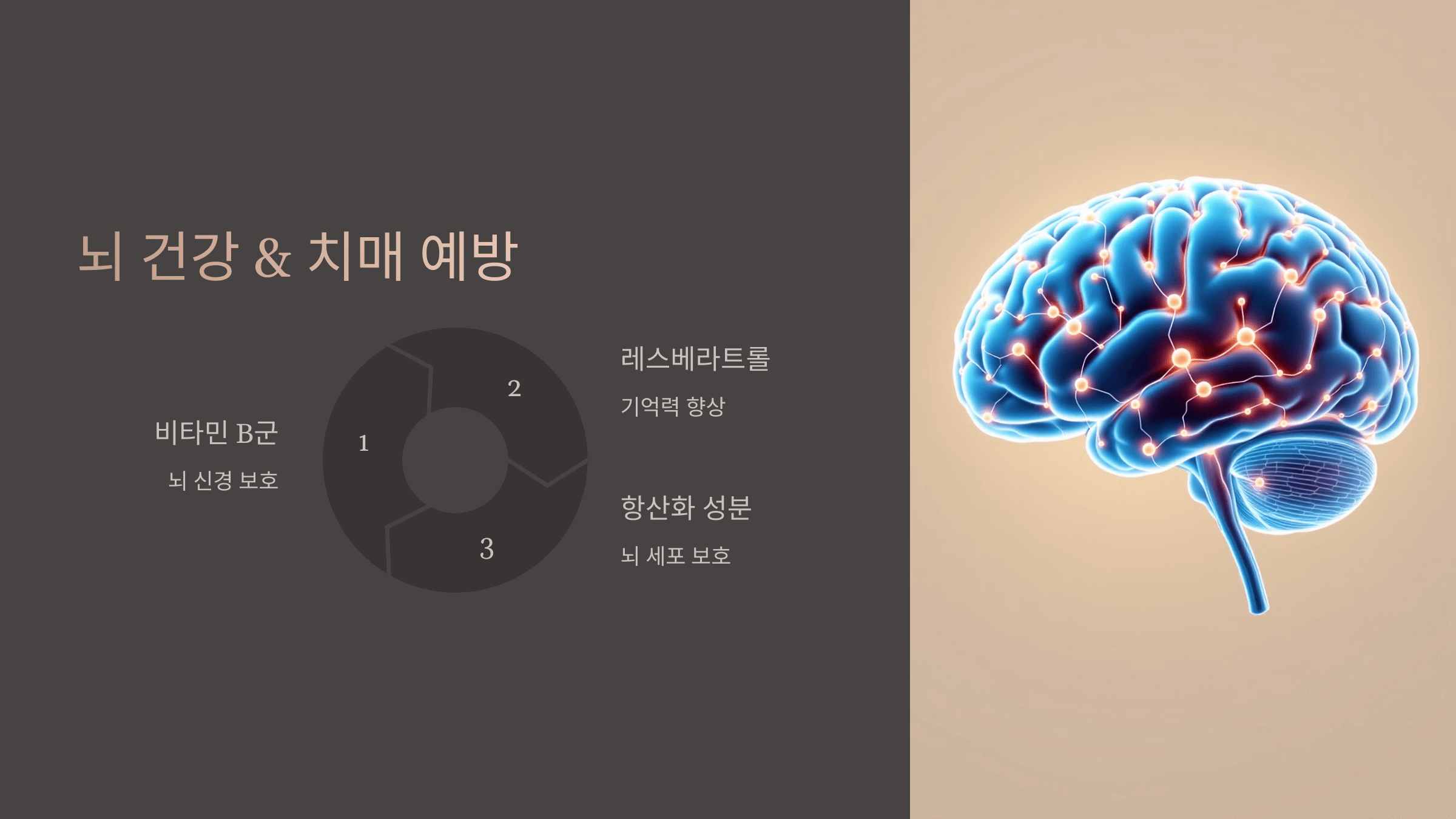 땅콩 사진입니다.