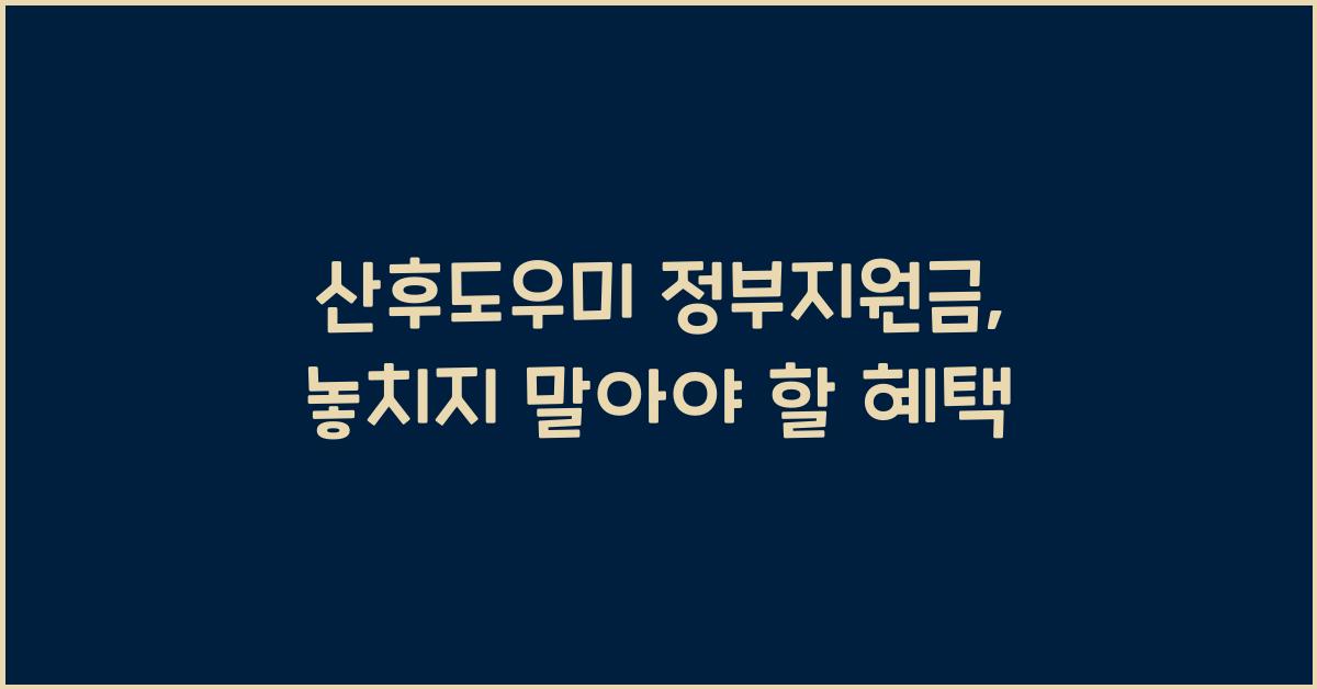 산후도우미 정부지원금