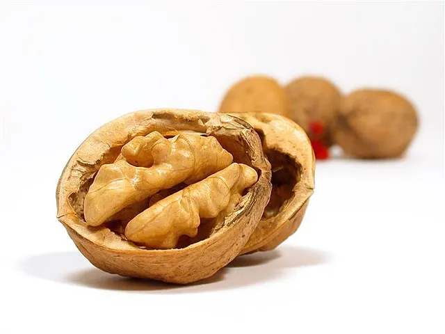 호두 효능 섭취량 칼로리_1
