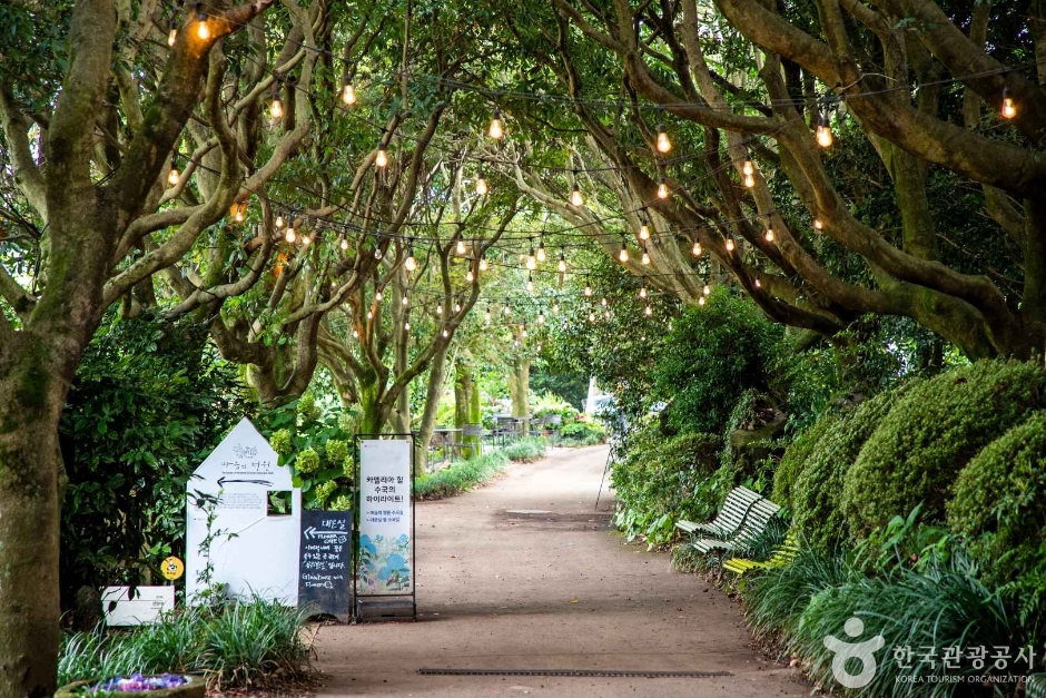 카멜리아힐 관련 사진