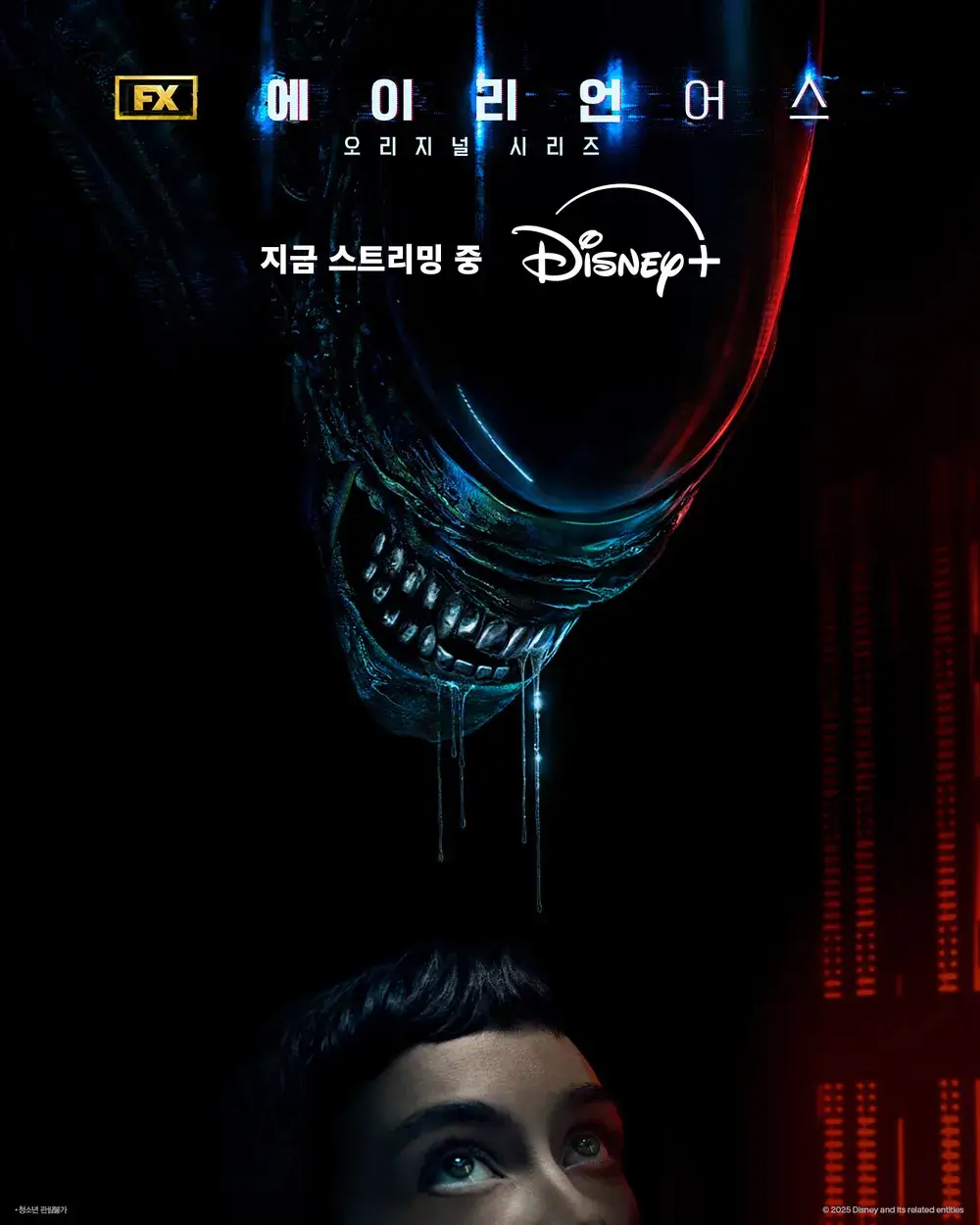 디즈니 플러스의 에일리언:어스의 에일리언이 인간을 보고 침흘리는 모습