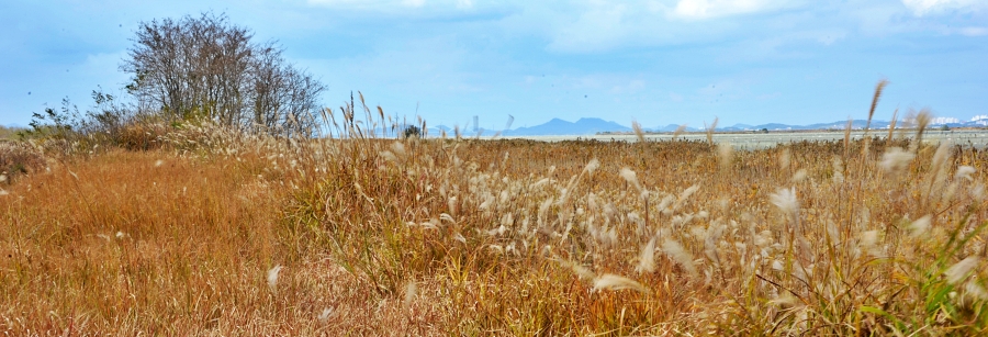추수 감사 주일 드리는 대표기도문