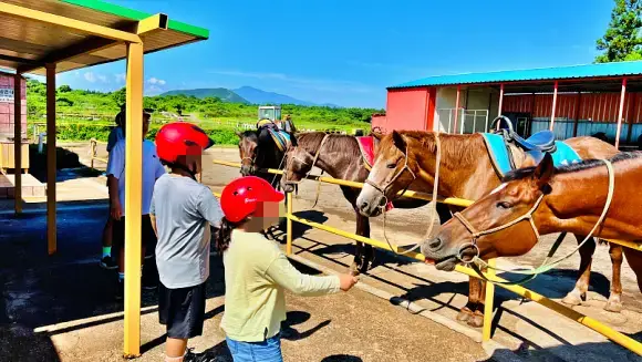 수고했는 말들에게 먹이 주기.