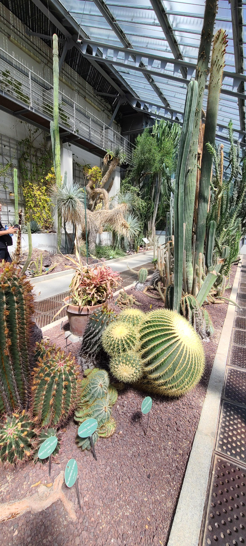 마드리드 왕립식물원 온실