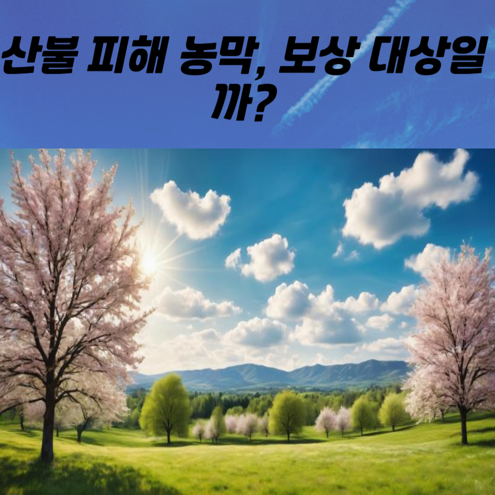 산불 피해 농막, 정부 지원 대상에 포함될까?