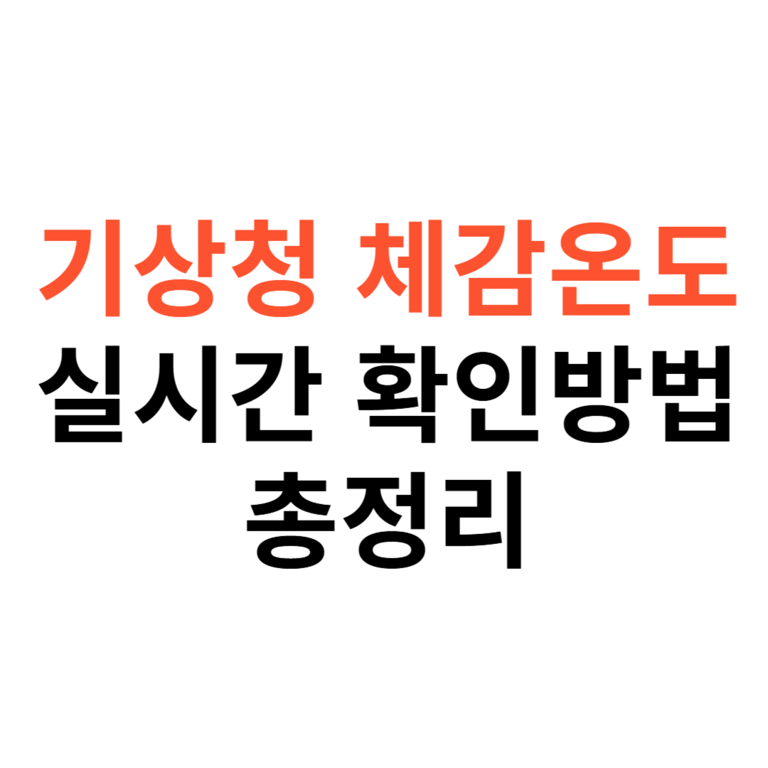 기상청 체감온도