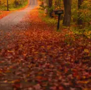 가을 단풍 구경 BEST 5 &mdash; 2025년 놓치면 아쉬울 국내 명소