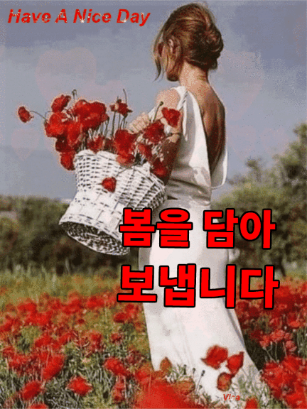Have A Nice Day / 봄을 담아 보냅니다