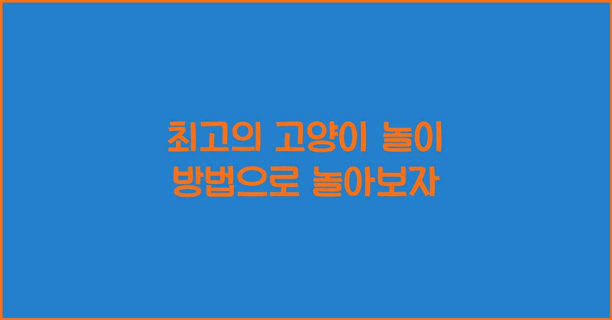 고양이 놀이 방법