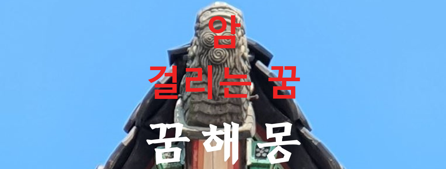꿈해몽