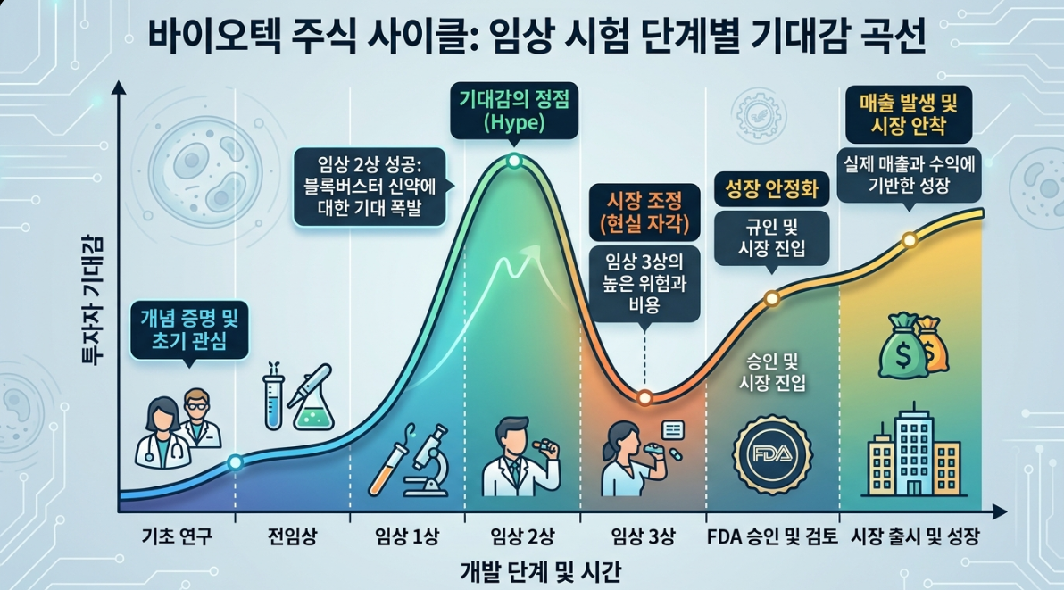에스바이오메딕스 주가 전망 관련 이미지(바이오주 주가 사이클 개념도 &mdash; 임상 단계별 기대감 곡선과 현재 위치 표기)