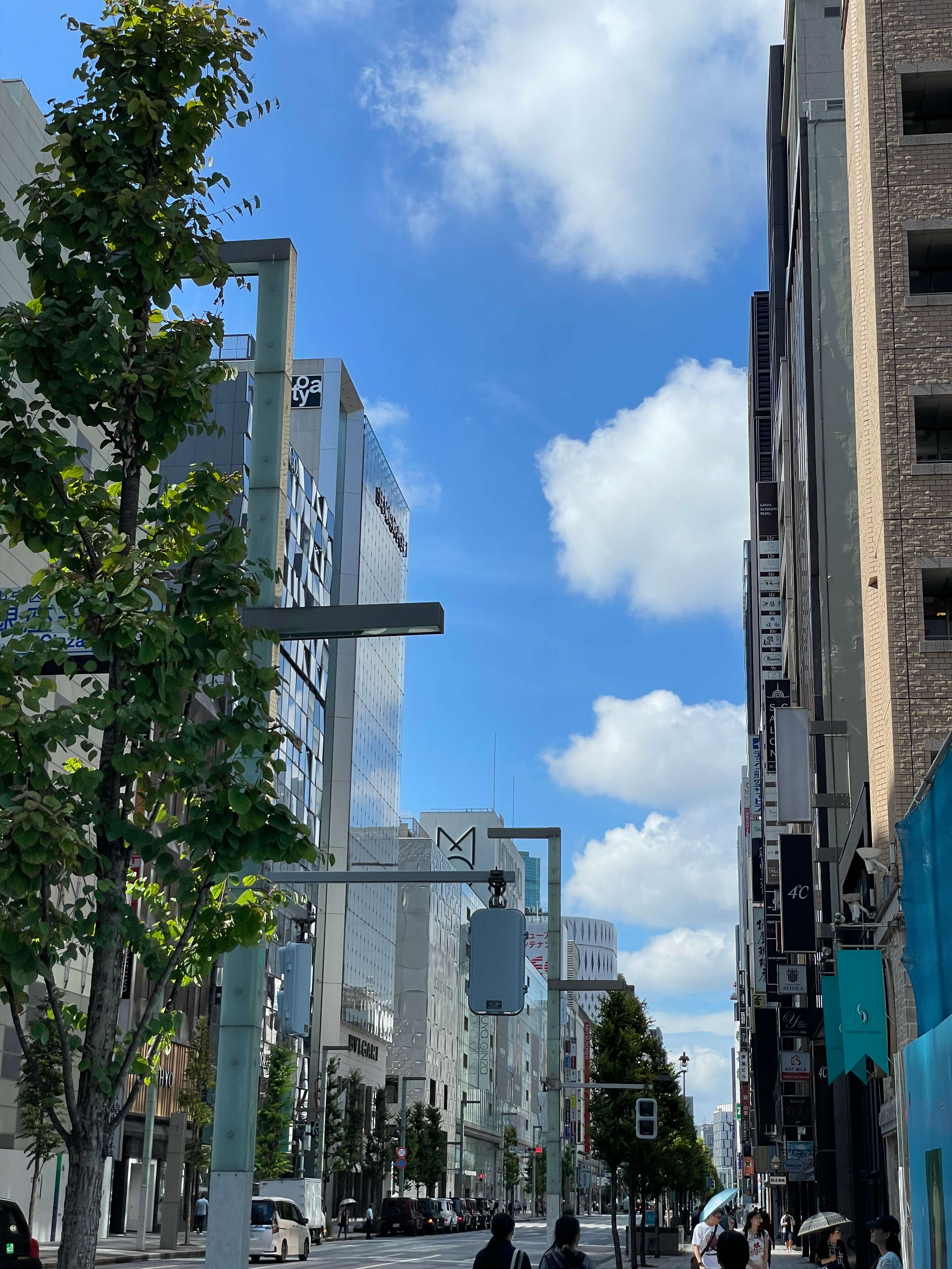 도쿄 여행 가이드: 숨겨진 명소부터 필수 맛집까지