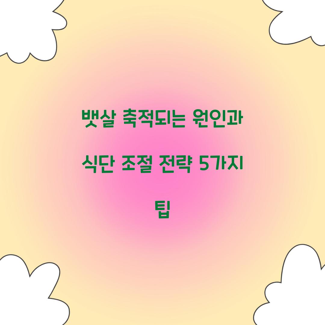 뱃살 축적되는 원인과 식단 조절 전략