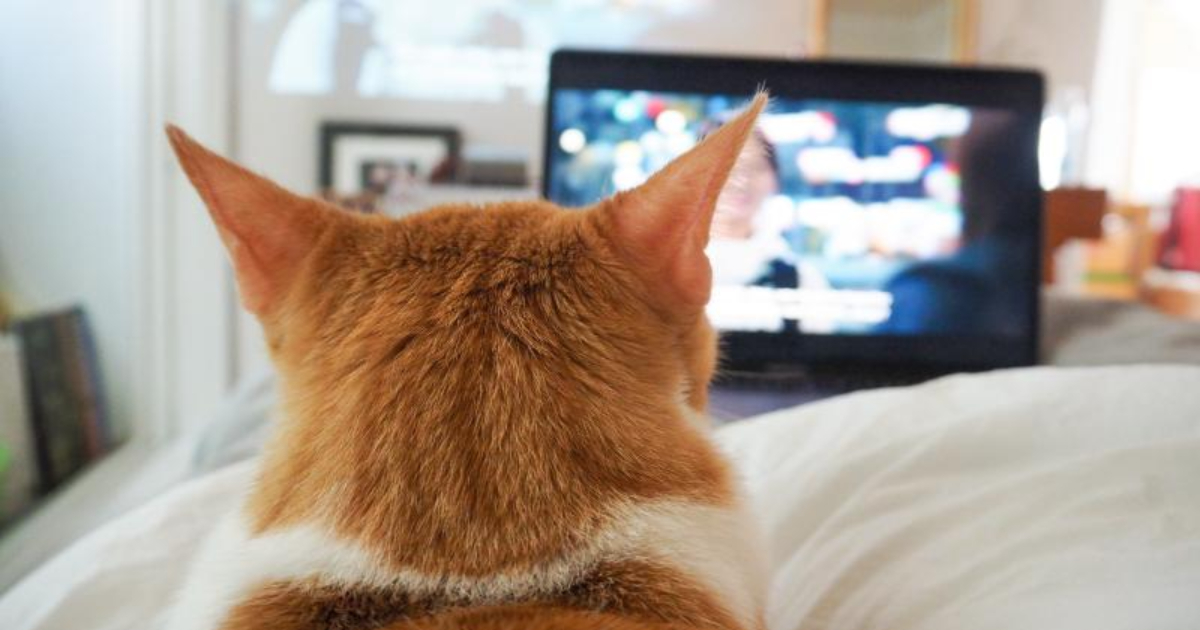 λ·νλ¦μ€ μκΈμ κ³μ 곡μ