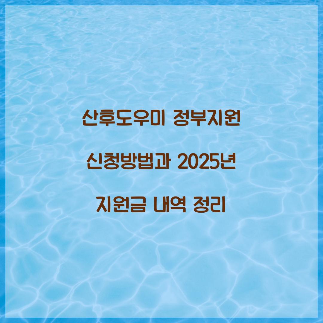 산후도우미 정부지원