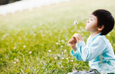 민들레 홀씨 놀이 이미지
