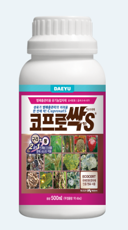 장마 대비 고추 농사 탄저병 방제 방법, 농약 추천(모두싹, 코프로싹S, 고추탄)