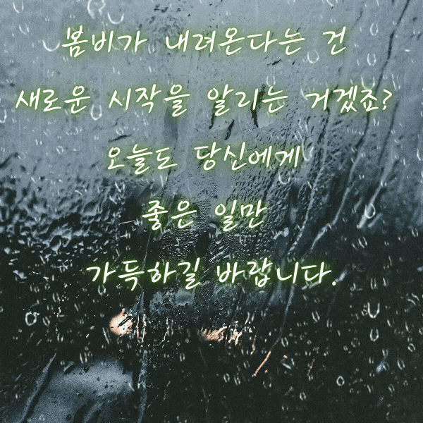 봄비 인사말 비오는 날 인사말 문구 이미지 모음