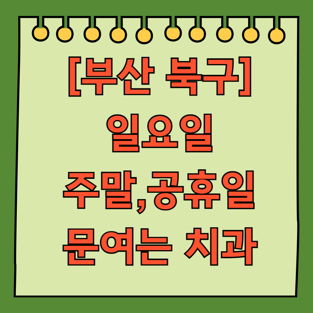 부산 북구 덕천 일요일 문 여는 치과 목록 ❘ 공휴일 주말 야간진료 ❘ 어린이치과