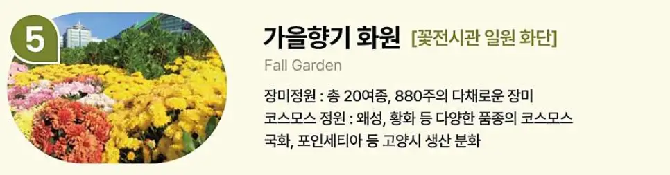 고양가을꽃축제