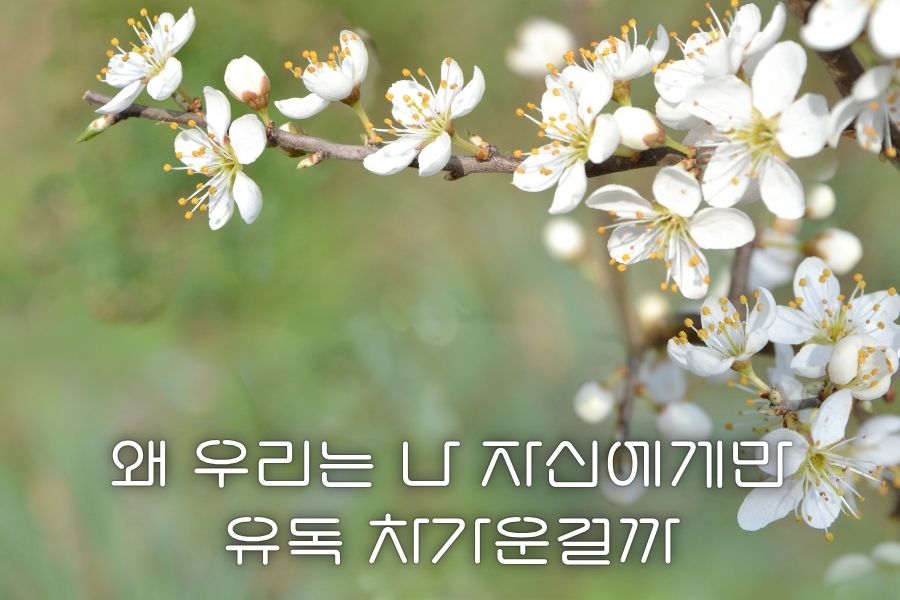 왜 나 자신에게만 유독 차가운걸까