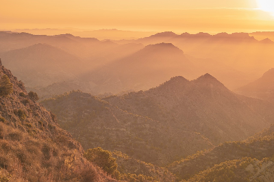 조셀린 벨 버넬, 노벨상 탈락의 불명예