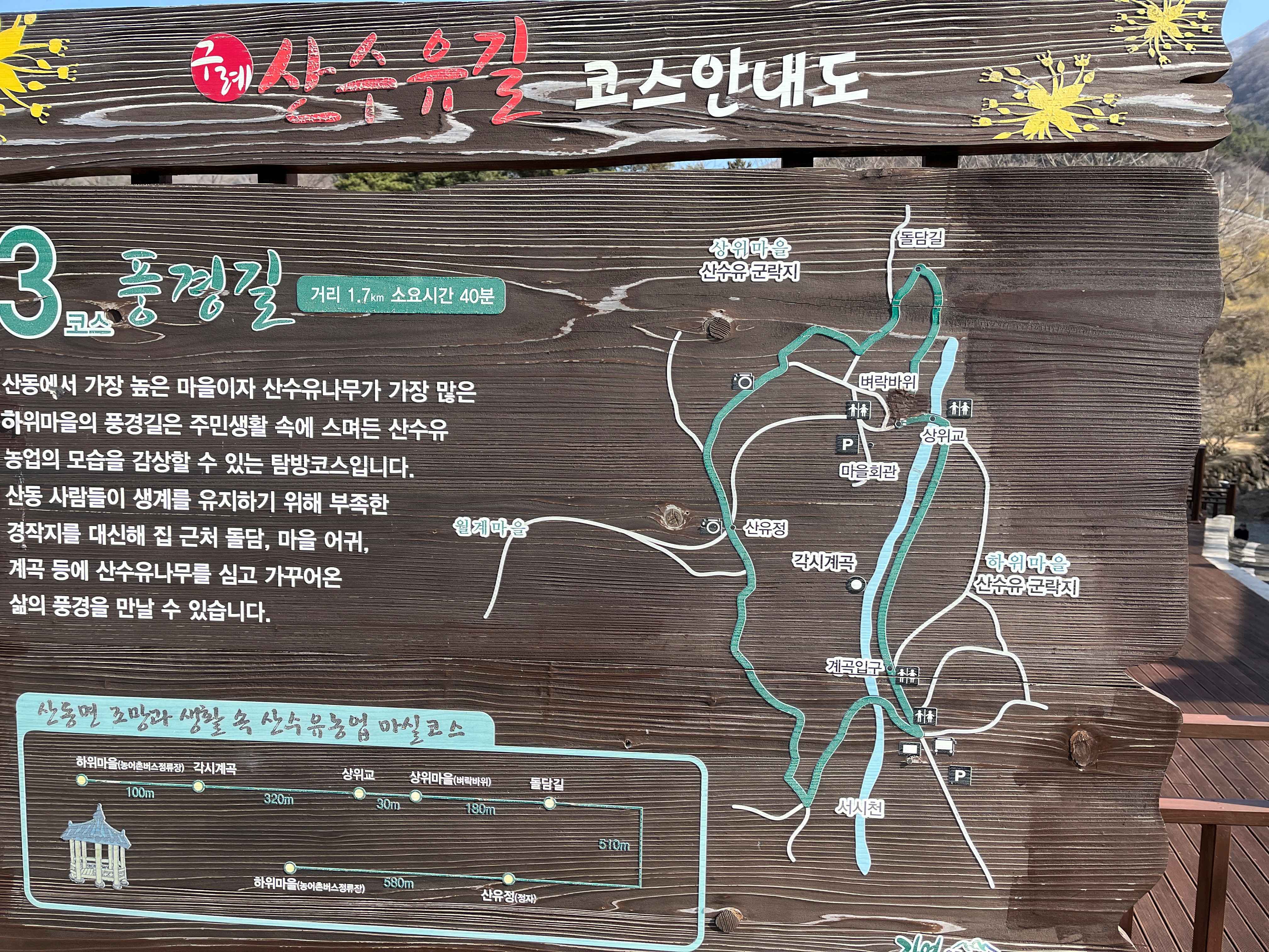 구례 산수유마을