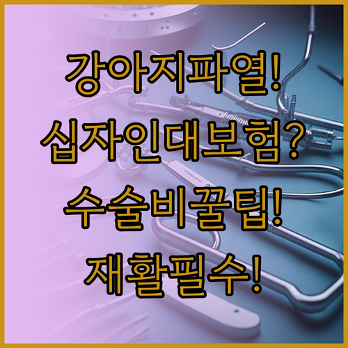강아지 십자인대 파열 보험 적용 시 ..