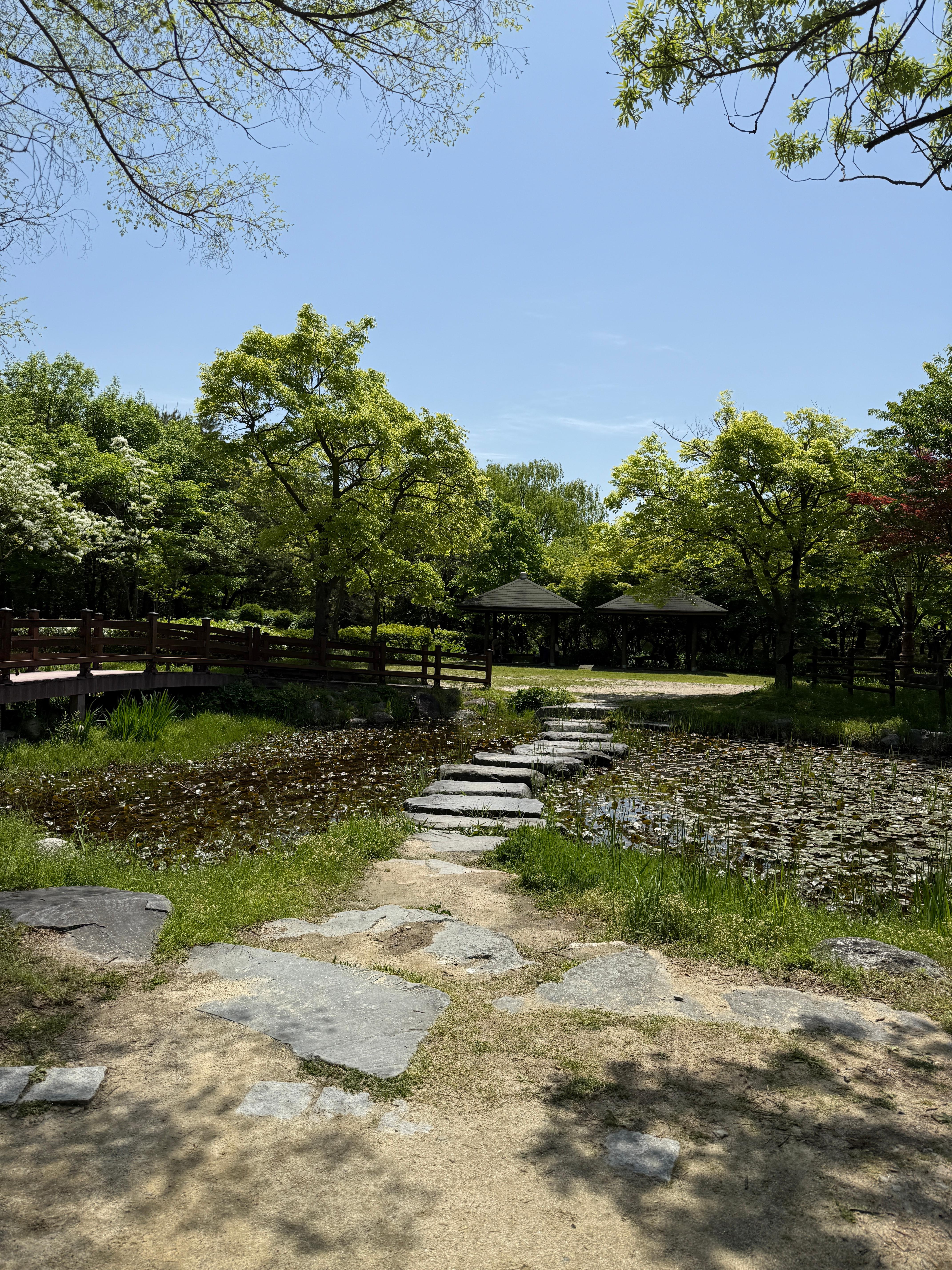 대전 성심당 샌드위치정거장 후기🥪 애플브리치즈 원픽! 한밭수목원 피크닉까지 완벽 코스