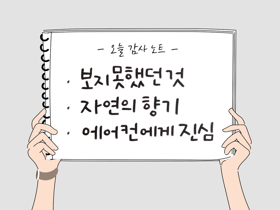 오늘 감사한 순간들, 일상 속 숨겨진 보물찾기