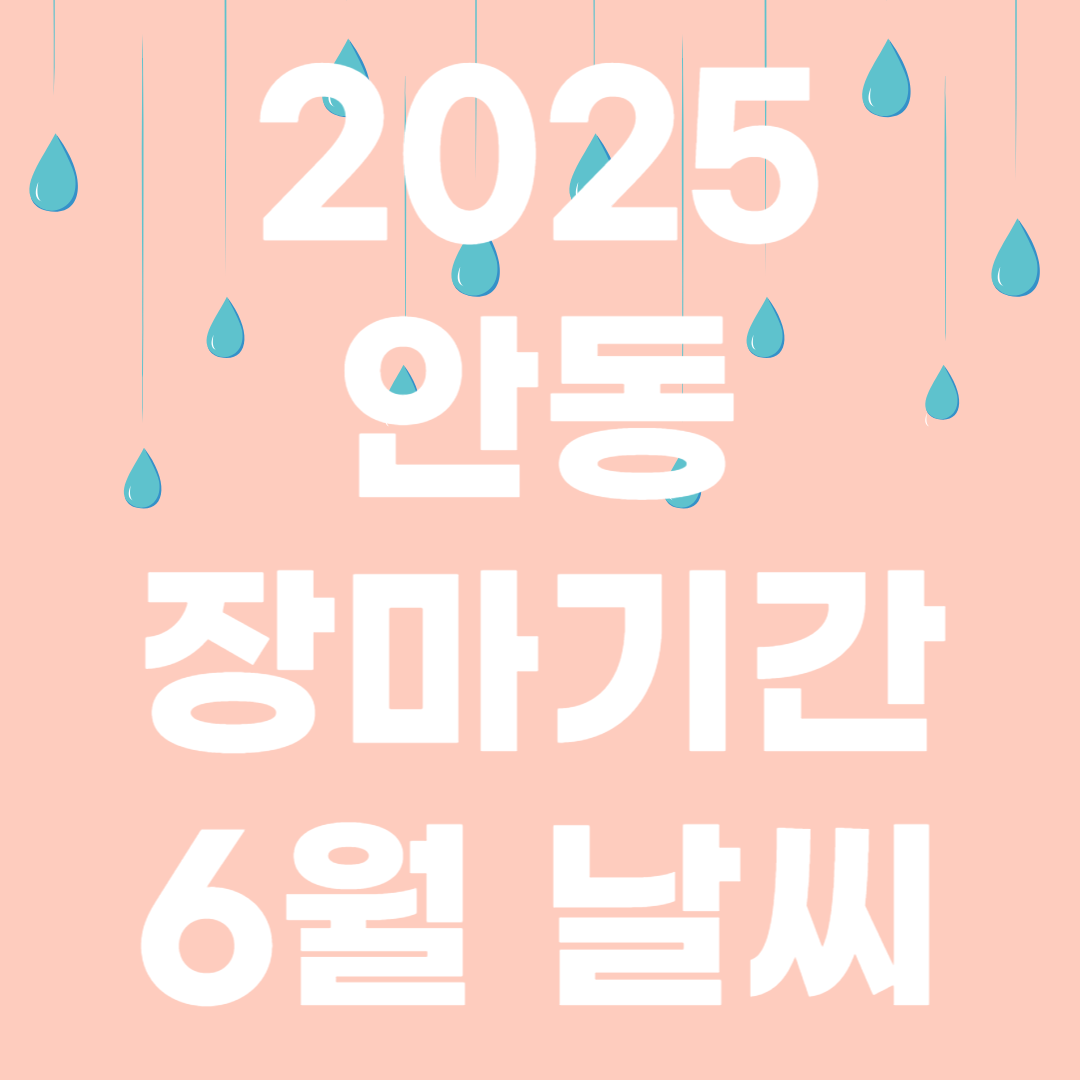 2025년 안동 장마기간 장마철 대비