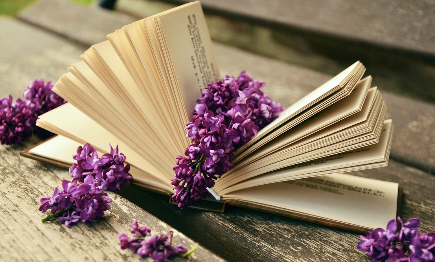 책을 예술로 바꾸는 북 아트 &amp; 독서 노트 꾸미기 &ndash; 독서 기록을 시각적으로 표현하는 방법