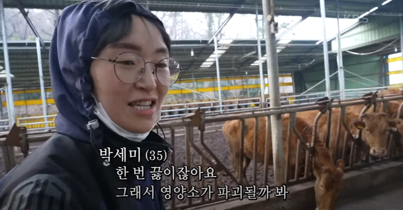 달려라 명랑 세미